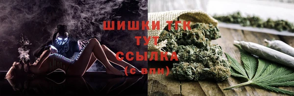 тгк Балабаново
