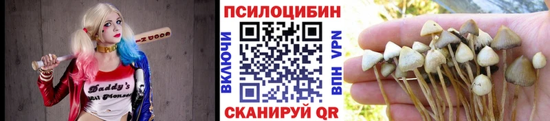 Купить  Талица  Галлюциногенные грибы GOLDEN TEACHER 